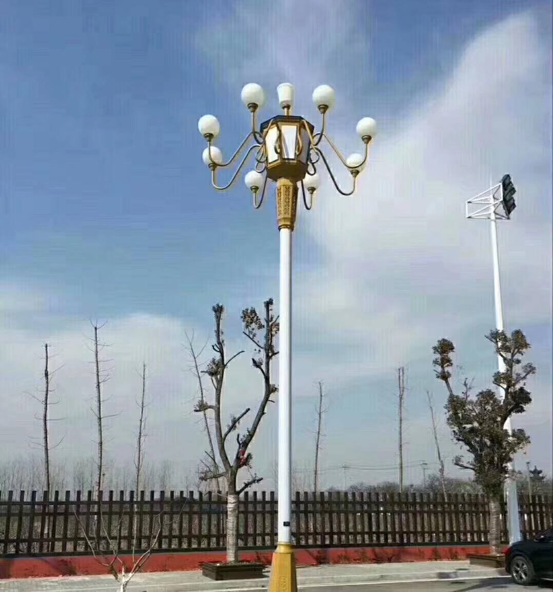 鑫輝豪路燈中華燈